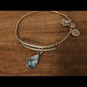Alex and Ani Bangle
